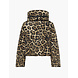 Goldbergh Pantera Ski Jacket – Jaguar
