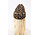 Watcher Beanie – Leopard