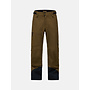 Alpine Gore-Tex 3l Pant