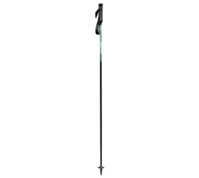 Stöckli Carbon Motion