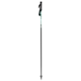Carbon Motion