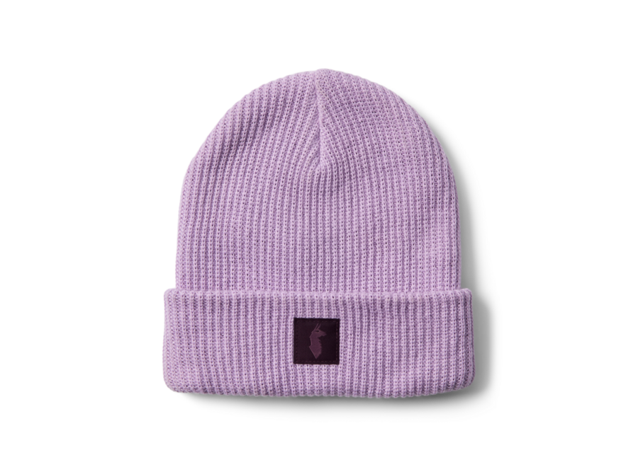 Wharf 2.0 Beanie - Moonbeam