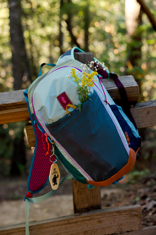 Cotopaxi Elqui 18L Backpack - Del Dia