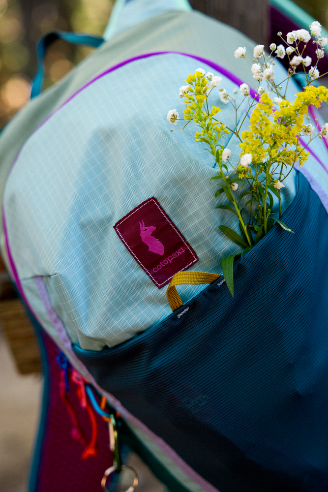 Cotopaxi Elqui 18L Backpack - Del Dia