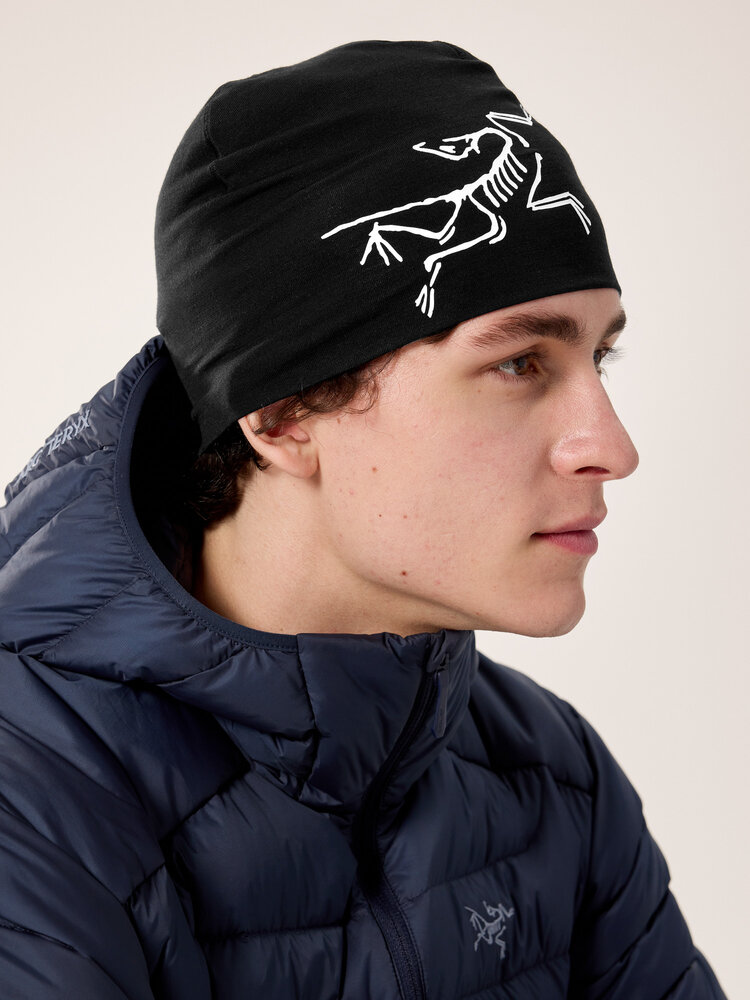 Arc'Teryx Satoroerino Toque - Black / Arctic Silk Arc'Teryx Satoroerino Toque - Black / Arctic Silk