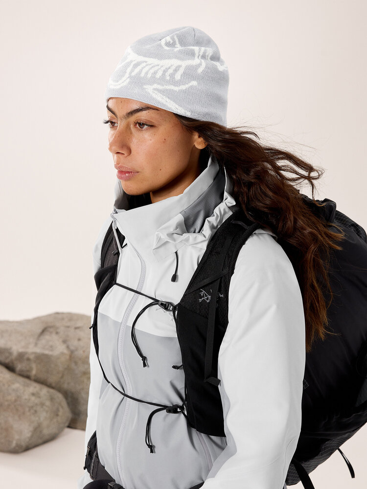 Arc'Teryx Bird Head Toque - Solitude / Arctic Silk Arc'Teryx Bird Head Toque - Solitude / Arctic Silk