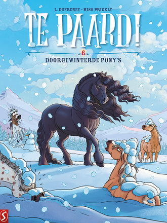 Te paard! 06: Doorgewinterde Pony's Te paard! 06: Doorgewinterde Pony's