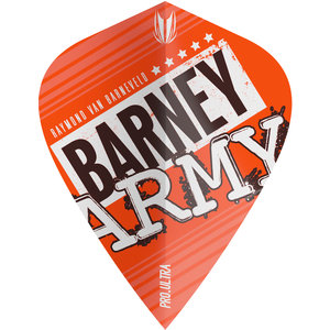 Ailette Target Barney Army Orange Kite