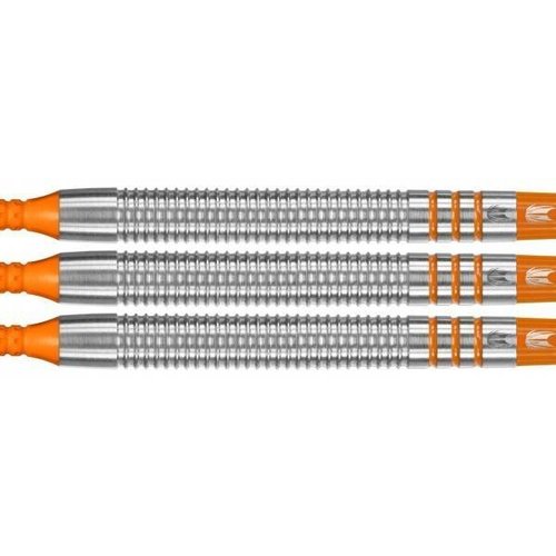 Target Raymond van Barneveld RVB 80% Soft Tip - Fléchettes pointe Plastique