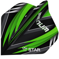 Ailette BULL'S B-Star Danny Jansen Bull's Germany Ailette BULL'S B-Star Danny Jansen