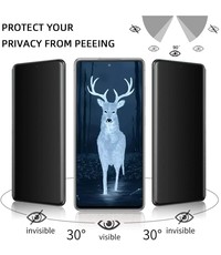 Ntech Samsung Galaxy S21 Plus Privacy Screenprotector