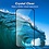 Ntech Full Cover Screenprotector Geschikt voor Samsung Galaxy A24 4/5G Zwart 2pack | Volledige Beschermglas Tempered Glass | Screenprotector Geschikt voor Samsung Galaxy A24 Screenprotector
