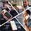 Ntech Hoesje Geschikt  iPhone 18 Pro Hoesje – Transparant/Oranje Hybrid Backcover, MagSafe Compatibel & Verhoogde Camerabescherming – Slank en Stevig - Ntech