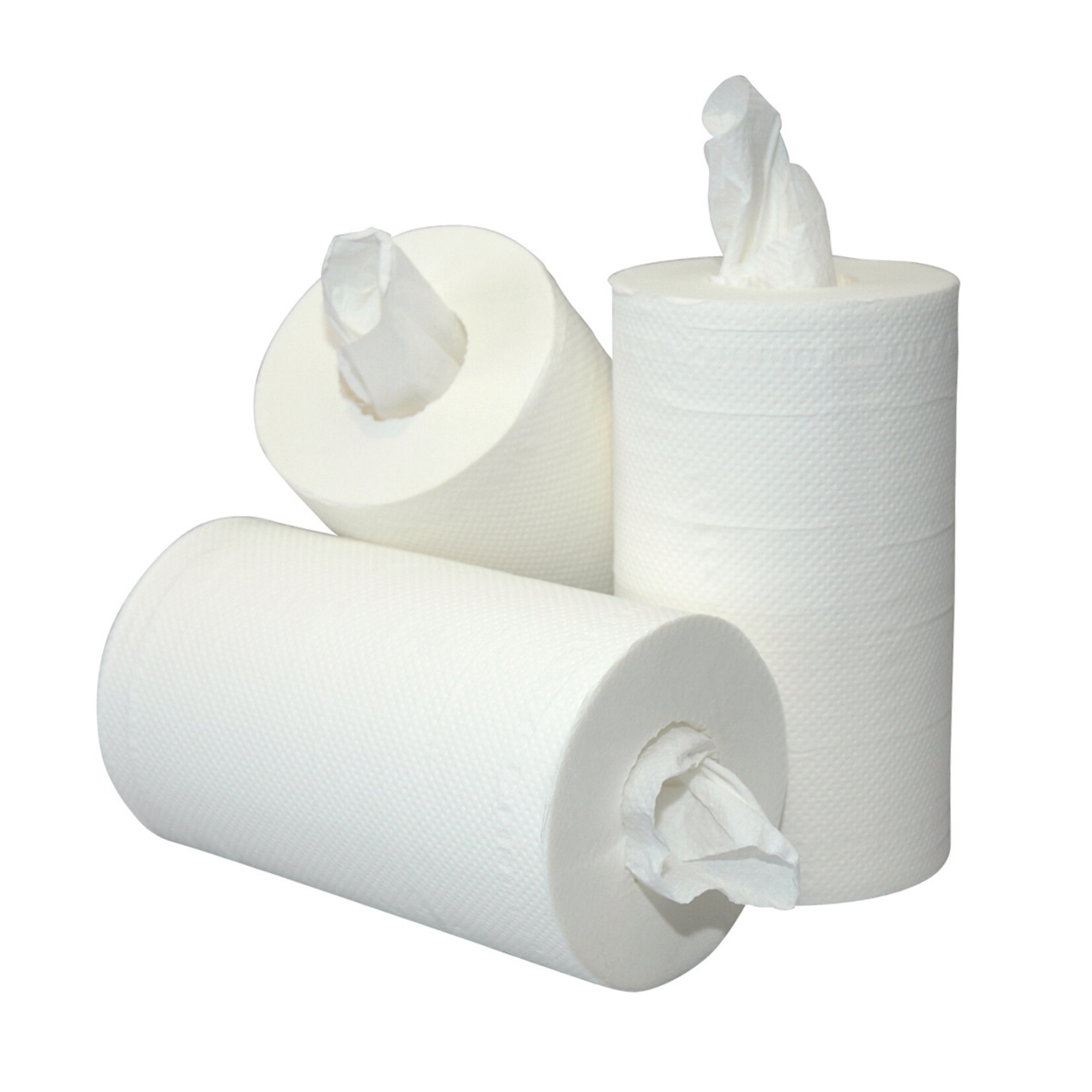 mini poetspapier 2-laags cellulose kokerloos 60mtr x 20cm (12 rollen per doos)