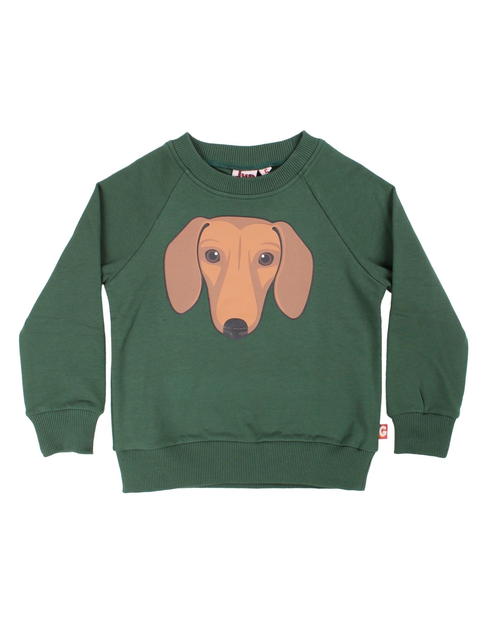 Dyr Groene trui met teckel hond