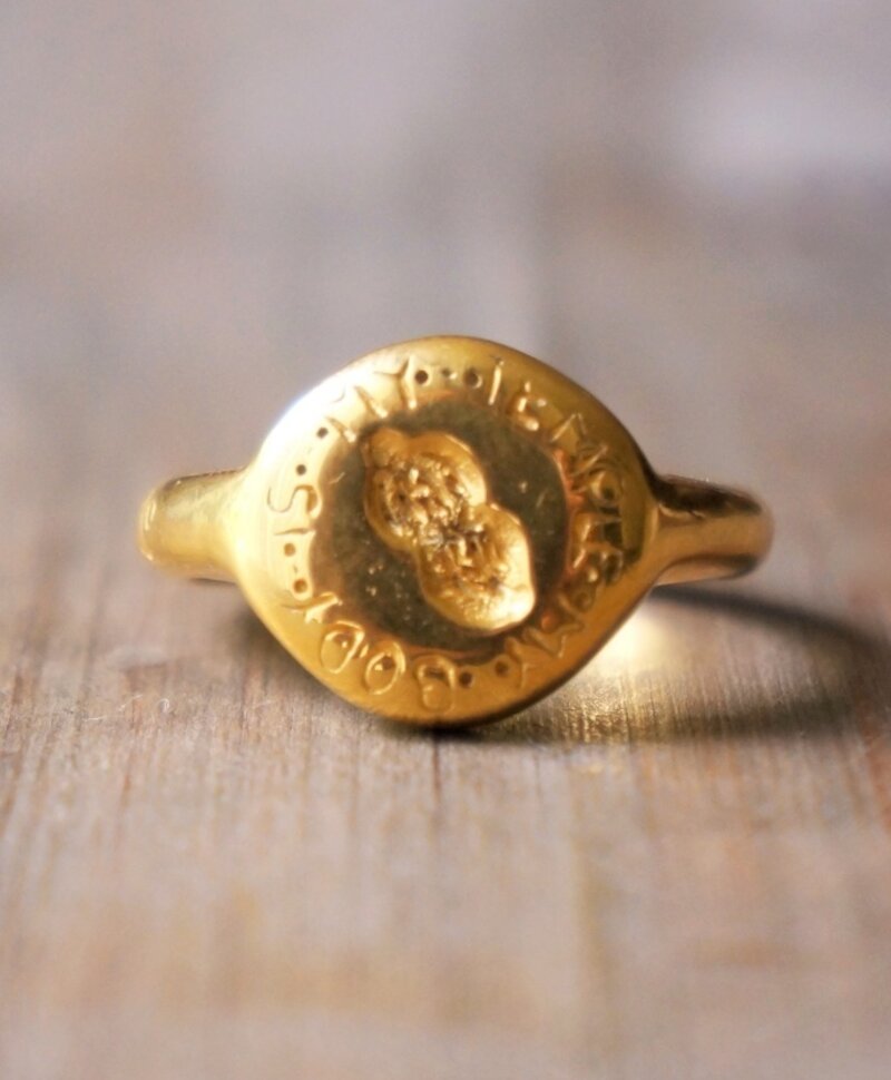 Ring Corpus Nux Gold