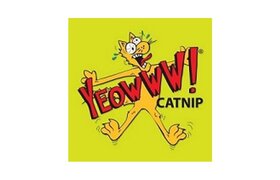 Yeowww!