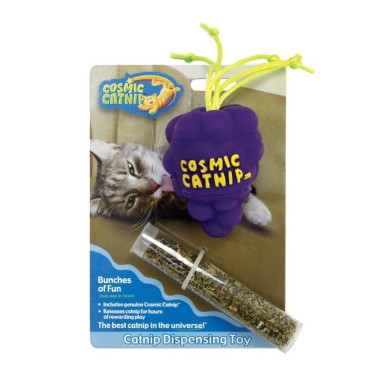 Cosmic *Bunches of Fun Catnip Dispenser