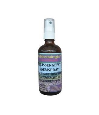 Dierendrogist Dierendrogist Melissengeest - 100 ml (altern. Respirot)