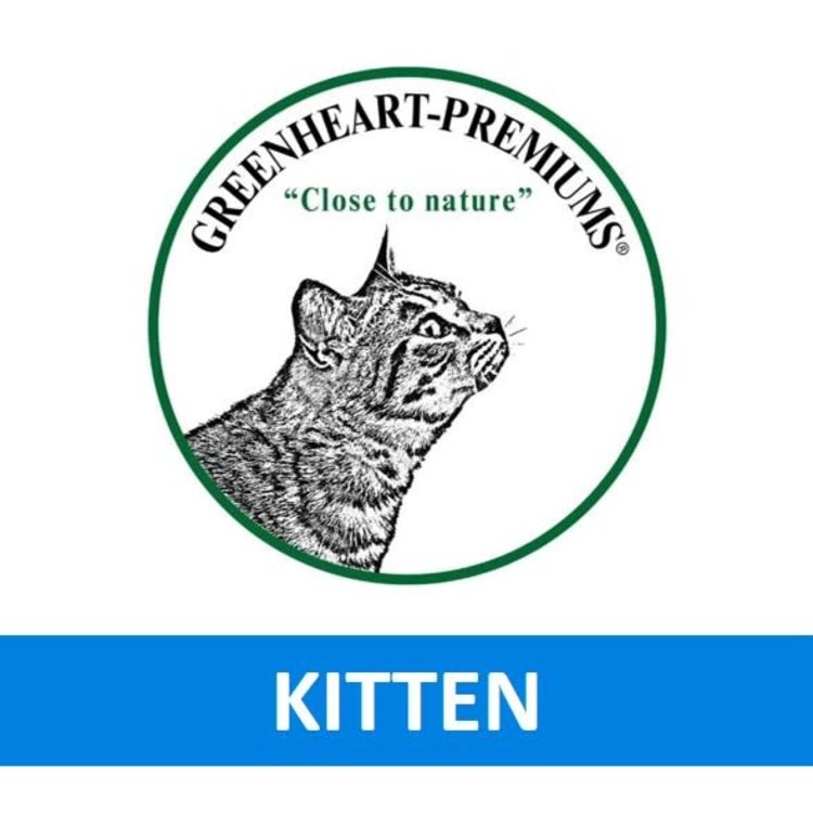Greenheart Kat Kitten