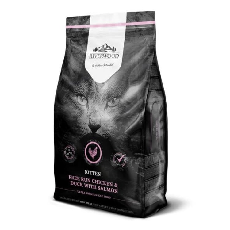 Johnson Riverwood Cat Kitten