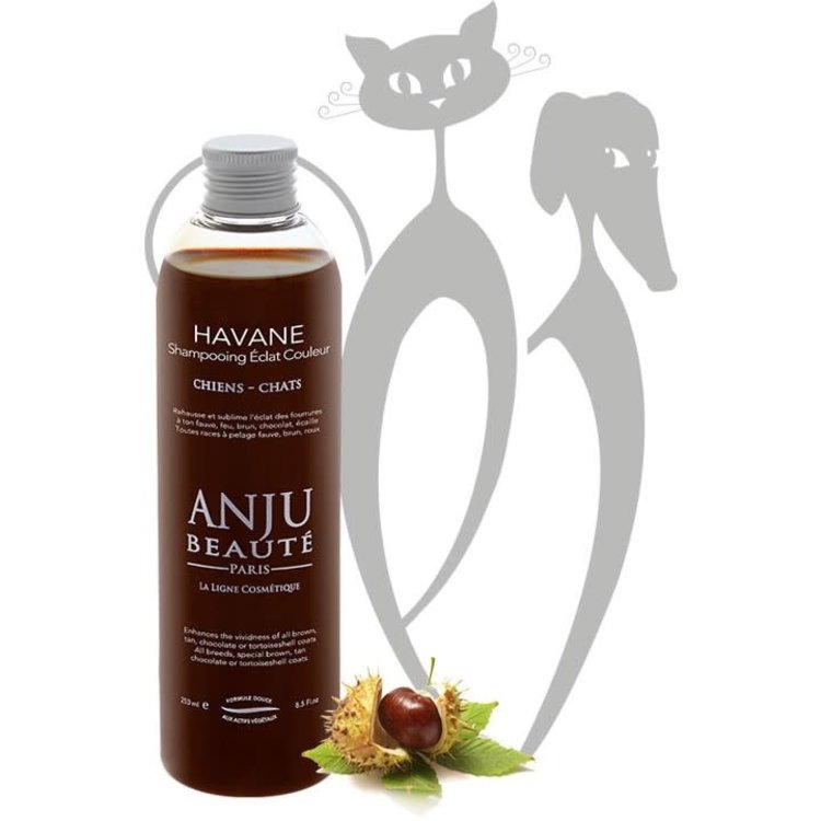 Anju Beaute Havane Shampoo
