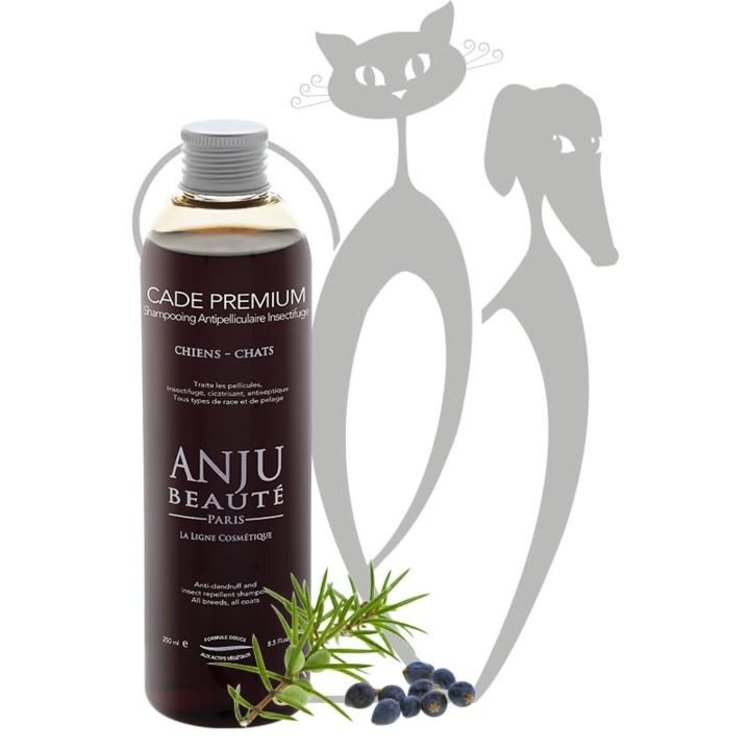 Anju Beaute Cade Premium Shampoo