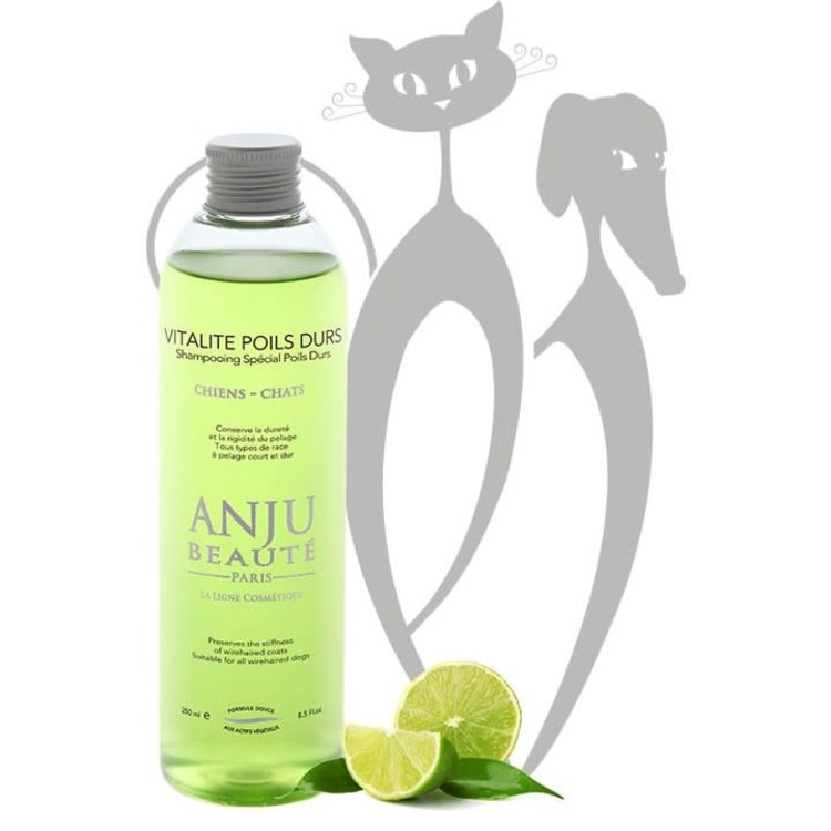 Anju Beaute Vitalite Poils Durs Shampoo