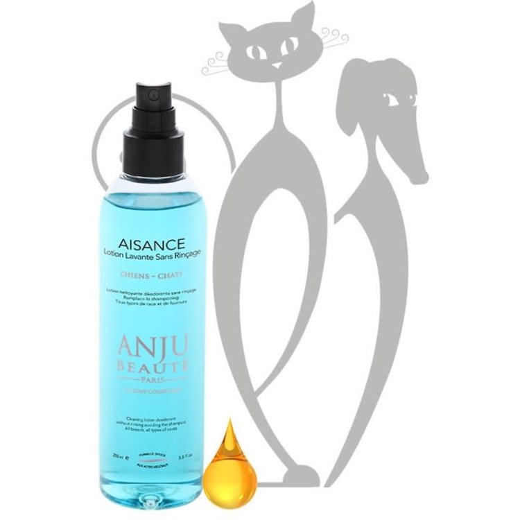 Anju Beaute Aisance Droogshampoo Spray