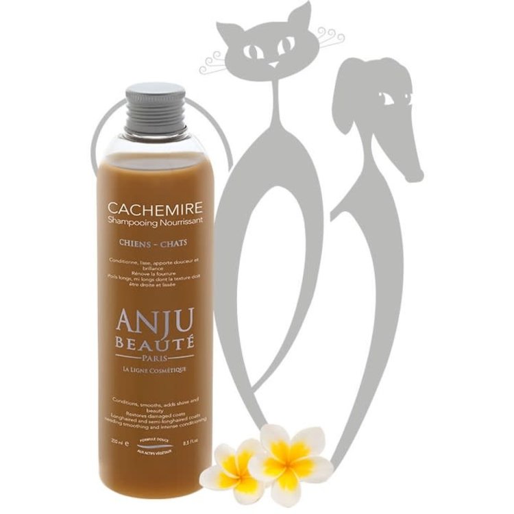 Anju Beaute Cachemire Shampoo