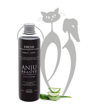 Anju Beaute Ebene Shampoo