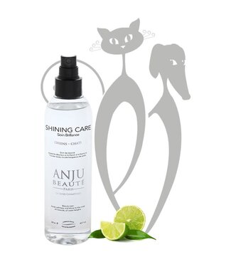 Anju Beaute Shining Spray