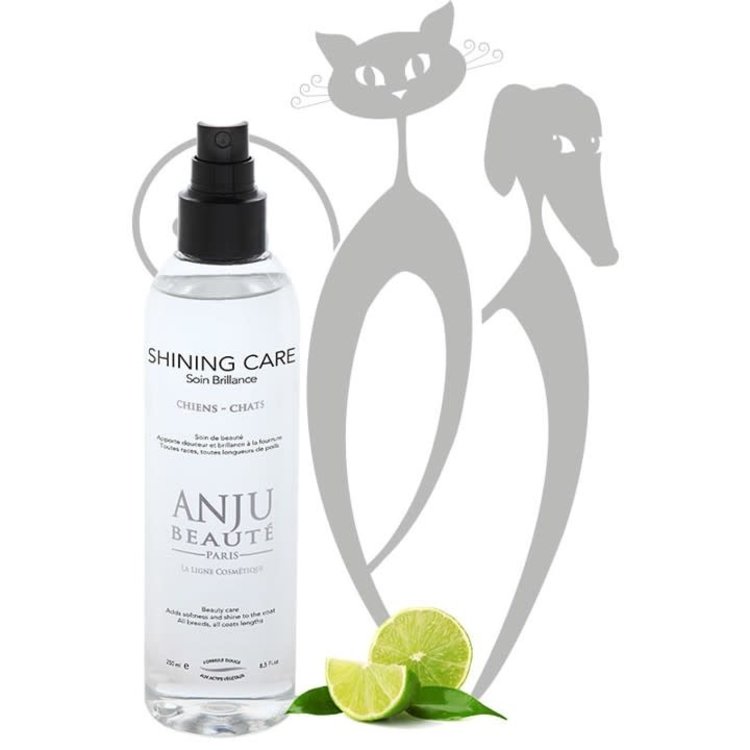 Anju Beaute Shining Spray