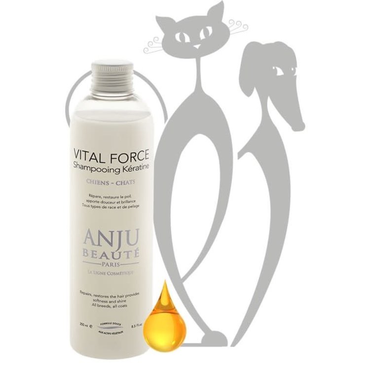 Anju Beaute Vital Force Shampoo