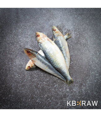 Kiezebrink KB BARF Sardines 1 kg