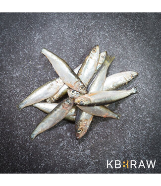 Kiezebrink KB BARF Sprat 1 kg