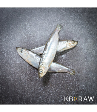 Kiezebrink KB BARF Herring 1 kg