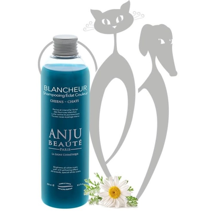 Anju Beaute Blancheur Shampoo