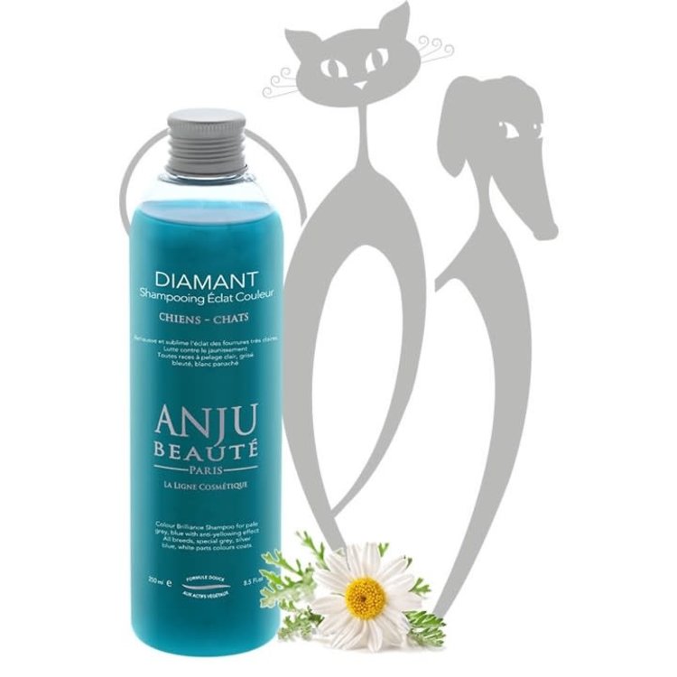 Anju Beaute Diamant Shampoo