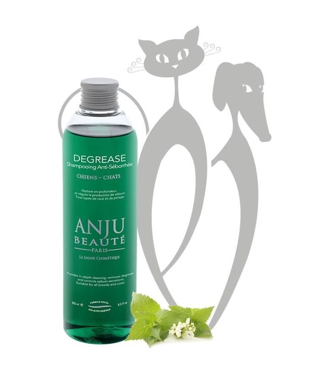 Anju Beaute Degrease Shampoo