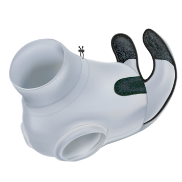 Trixie Operatie Hesje Kat