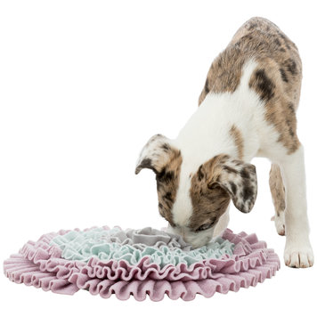 Trixie Junior Schnüffelmatte 38 cm