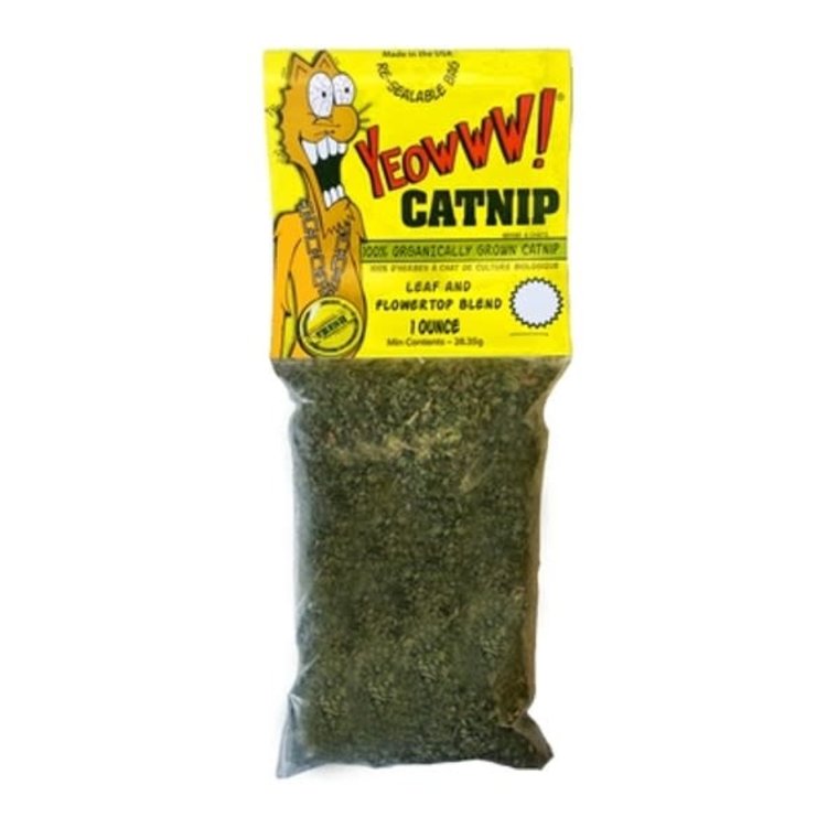 Yeowww! Catnip