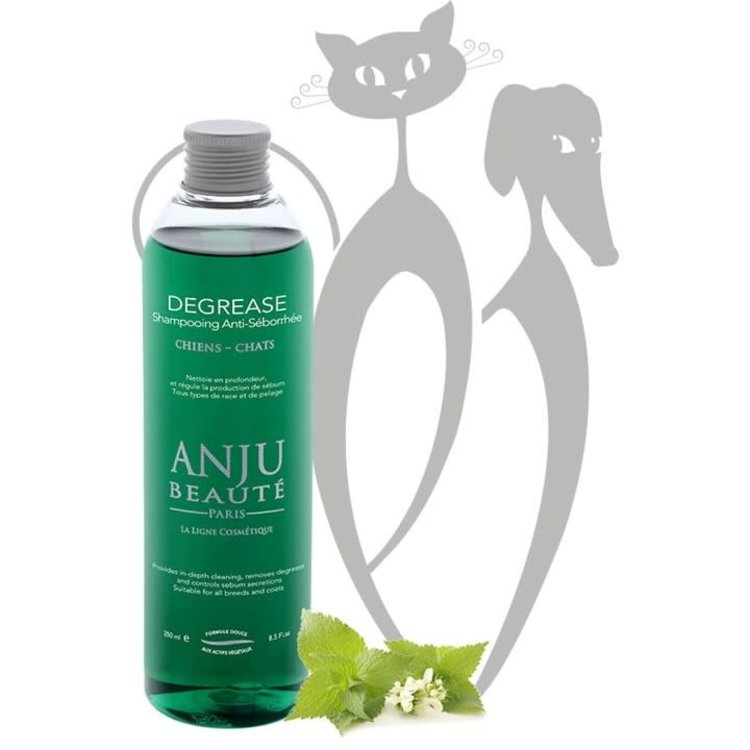 Anju Beaute Degrease Shampoo