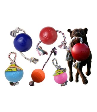 Jolly Pets Romp-n-Roll