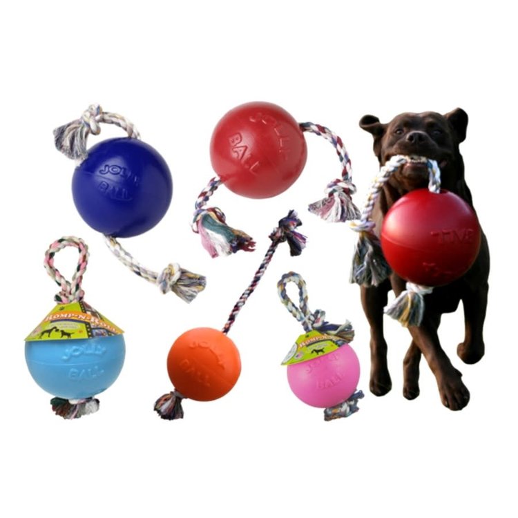Jolly Pets Romp-n-Roll