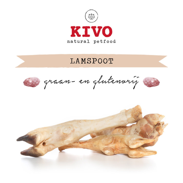 Kivo Lamspoot (3 st)