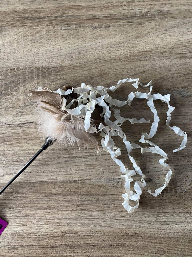 Vee Toys Playing Rod PURRfect Crazy Krinkle