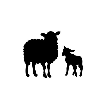 Lam/Schaap