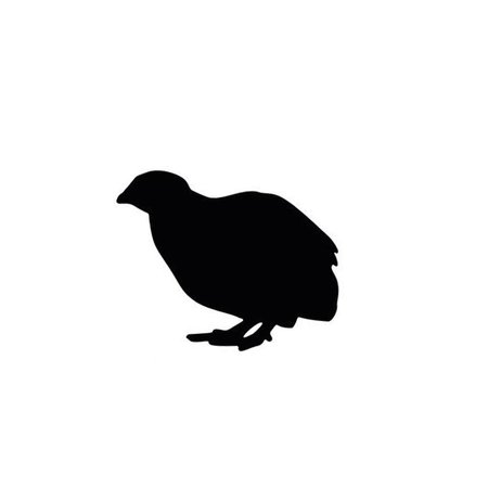 Quail